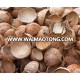 High Quality Coconut Shell / Chips